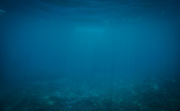 Elérte a Mariana-árok fenekét az orosz Vityjaz automata mélytengeri merülőszerkezet