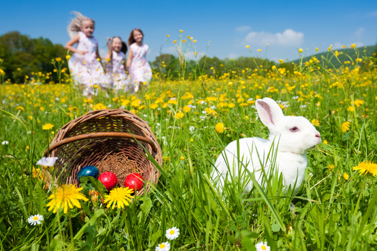 Regio Játék: a 6500 forint alatti gyerekjátékok a legnépszerűbbek húsvétkor