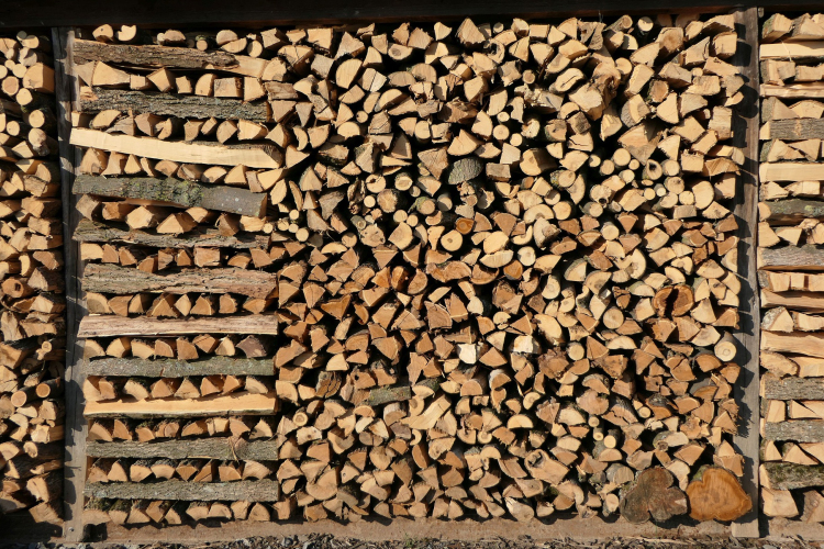 Agrárminiszter: folyamatos a lakossági tűzifaigények kiszolgálása