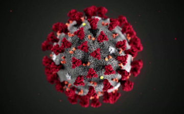 Meghalt egy beteg, és huszonnéggyel nőtt a fertőzöttek száma Magyarországon